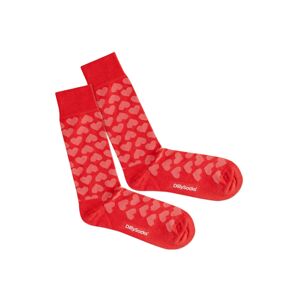 DillySocks Ponožky 'Heartful'  ružová / červená