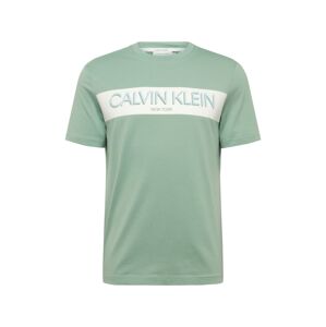 Calvin Klein Tričko 'STRIPE LOGO T-SHIRT'  mätová