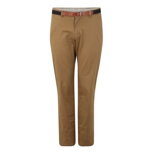 SELECTED HOMME Chino nohavice 'YARD'  hnedá