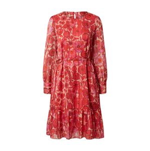 Fabienne Chapot Šaty 'Bonnie Lou'  ružová / béžová