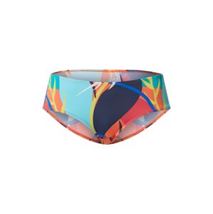 ESPRIT Bikinové nohavičky 'Tilly Beach'  zmiešané farby