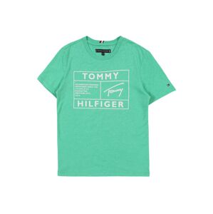 TOMMY HILFIGER Tričko  svetlosivá / nefritová