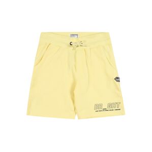 VINGINO Plavecké šortky 'Rastel'  pastelovo žltá