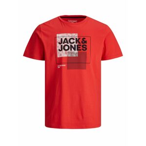 JACK & JONES Tričko  zmiešané farby / grenadínová