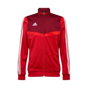 ADIDAS PERFORMANCE Športová bunda 'Tiro 19'  svetločervená / tmavočervená / biela
