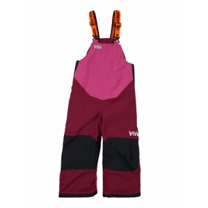 HELLY HANSEN Športové nohavice 'RIDER 2'  fialová / vínovo červená / námornícka modrá / sivá