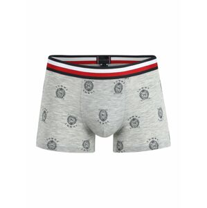 Tommy Hilfiger Underwear Boxerky 'TRUNK'  antracitová / sivá / biela / námornícka modrá / červená