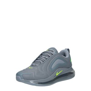 Nike Sportswear Nízke tenisky  sivá