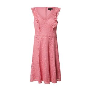 Dorothy Perkins Kokteilové šaty 'LACE TAYLOR'  ružová